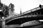 Paris - Notre Dame | fotografia di Stefano Gruppo